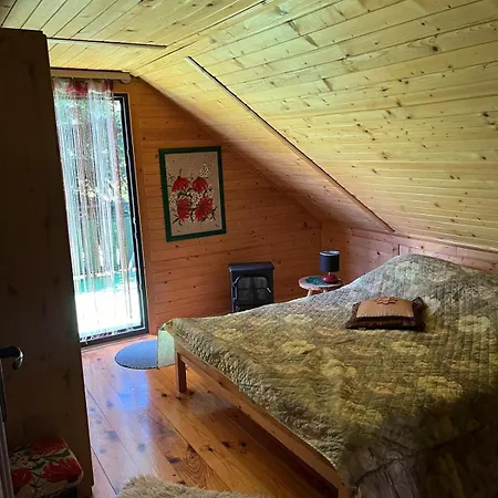 Pod Magnolia * Targanice