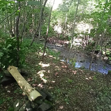 Daire Pod Magnolia *