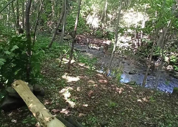 Apartment Pod Magnolia *